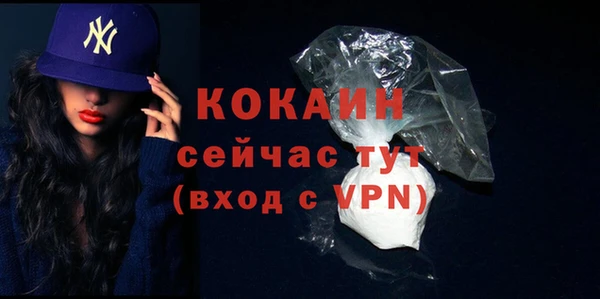 шишки Михайловка