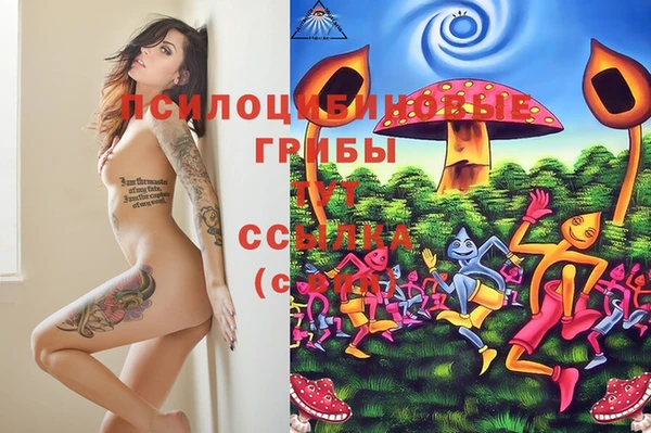 шишки Михайловка