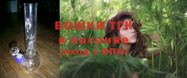 твердый Медногорск